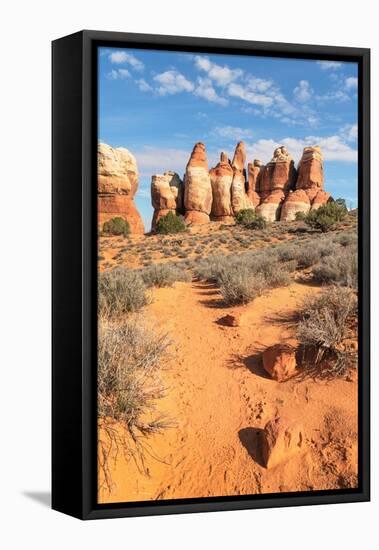 Chesler Park Canyonlands National Park, Utah-Alan Majchrowicz-Framed Premier Image Canvas