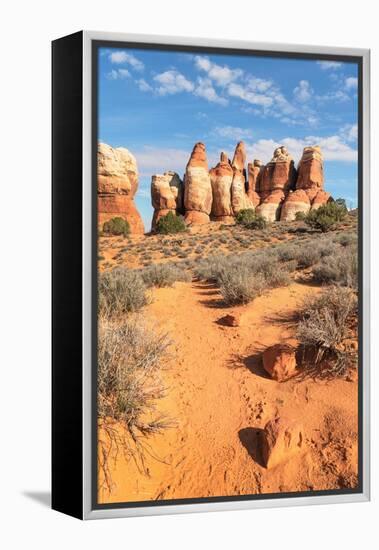 Chesler Park Canyonlands National Park, Utah-Alan Majchrowicz-Framed Premier Image Canvas