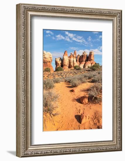 Chesler Park Canyonlands National Park, Utah-Alan Majchrowicz-Framed Photographic Print