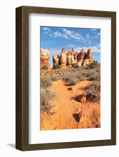 Chesler Park Canyonlands National Park, Utah-Alan Majchrowicz-Framed Photographic Print