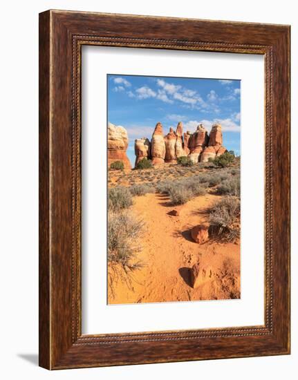 Chesler Park Canyonlands National Park, Utah-Alan Majchrowicz-Framed Photographic Print