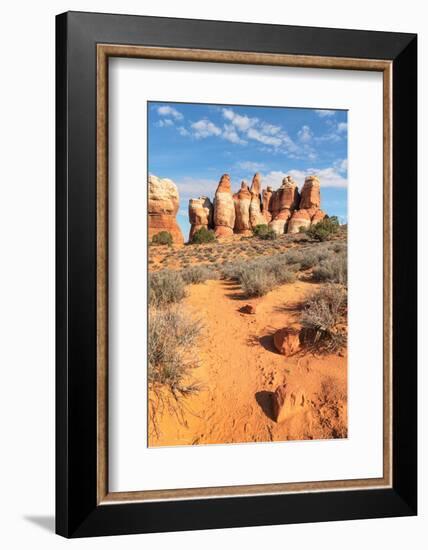 Chesler Park Canyonlands National Park, Utah-Alan Majchrowicz-Framed Photographic Print