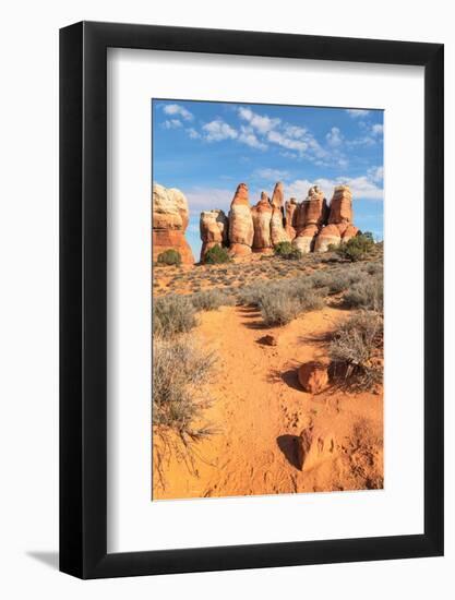 Chesler Park Canyonlands National Park, Utah-Alan Majchrowicz-Framed Photographic Print