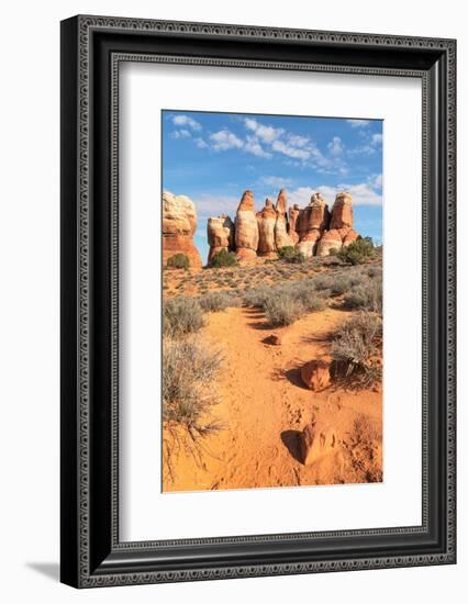 Chesler Park Canyonlands National Park, Utah-Alan Majchrowicz-Framed Photographic Print