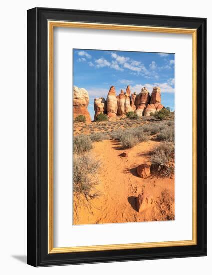 Chesler Park Canyonlands National Park, Utah-Alan Majchrowicz-Framed Photographic Print