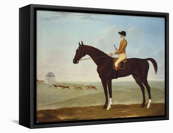 Chesnut Racehorse with Jockey Up on Newmarket Heath, 18th Century-John Byam Shaw-Framed Premier Image Canvas