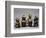 Chess Pieces Depicting Pawn, King, Queen and Knight-null-Framed Giclee Print