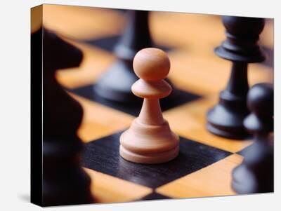 Why the classic chess pieces move the way they do, bison chess