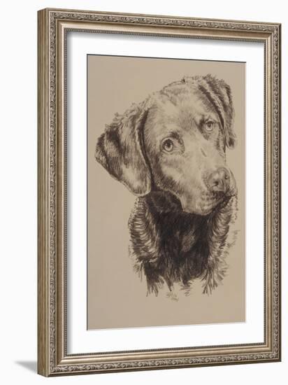 Chessapeake Bay Retriever-Barbara Keith-Framed Giclee Print