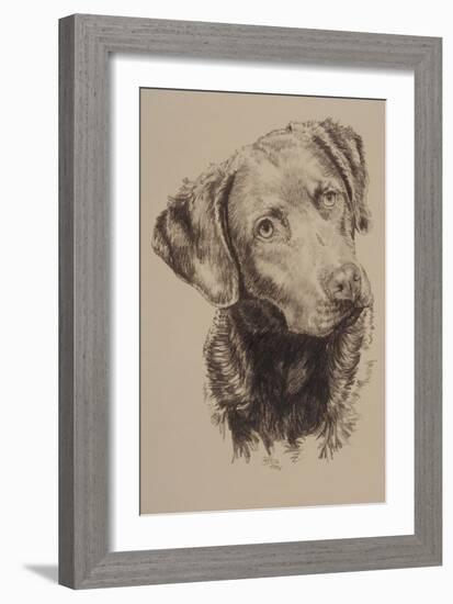 Chessapeake Bay Retriever-Barbara Keith-Framed Giclee Print