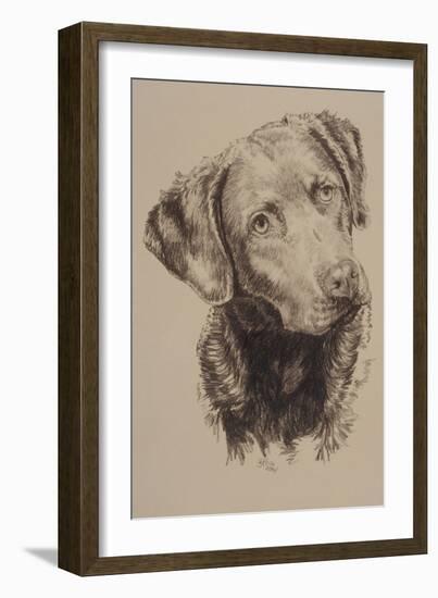 Chessapeake Bay Retriever-Barbara Keith-Framed Giclee Print