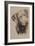 Chessapeake Bay Retriever-Barbara Keith-Framed Giclee Print