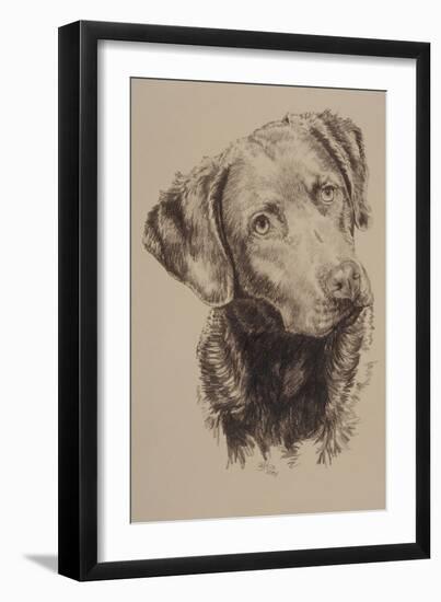 Chessapeake Bay Retriever-Barbara Keith-Framed Giclee Print