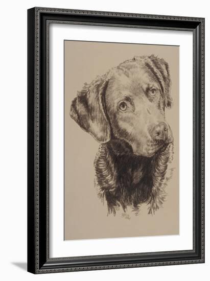 Chessapeake Bay Retriever-Barbara Keith-Framed Giclee Print