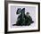 Chessie Is #1-null-Framed Photographic Print