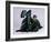 Chessie Is #1-null-Framed Photographic Print