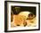 Chessie's Drawing-null-Framed Photographic Print