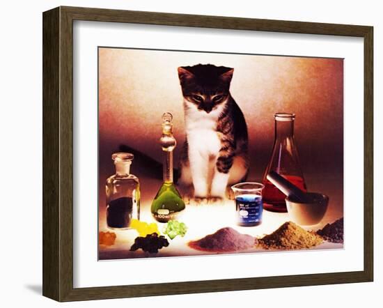 Chessie's Experiement-null-Framed Giclee Print