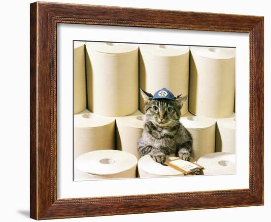 Chessie Taking Inventory-null-Framed Giclee Print