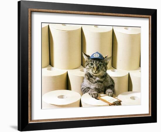 Chessie Taking Inventory-null-Framed Giclee Print