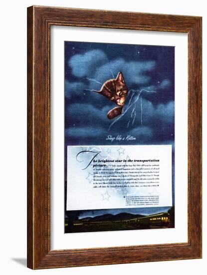 Chessie: the Brightest Star-Charles Bracker-Framed Giclee Print