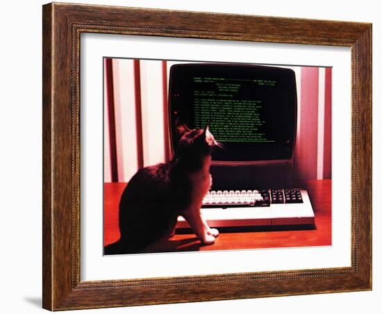 Chessie the Professional-null-Framed Giclee Print