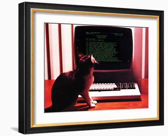 Chessie the Professional-null-Framed Giclee Print