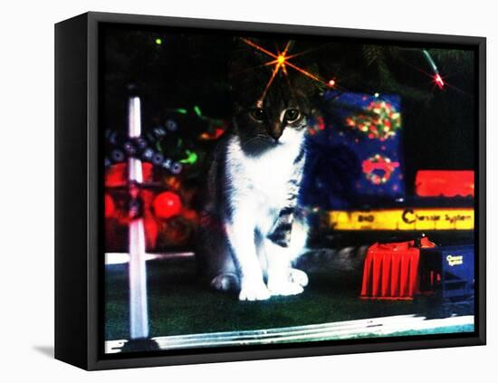 Chessie under the Christmas Tree-null-Framed Premier Image Canvas