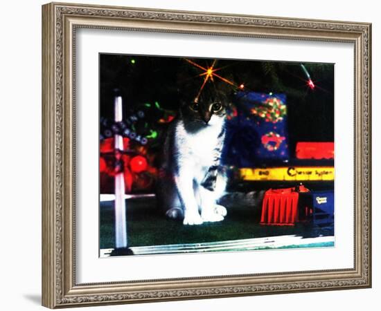 Chessie under the Christmas Tree-null-Framed Giclee Print