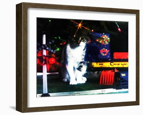 Chessie under the Christmas Tree-null-Framed Giclee Print