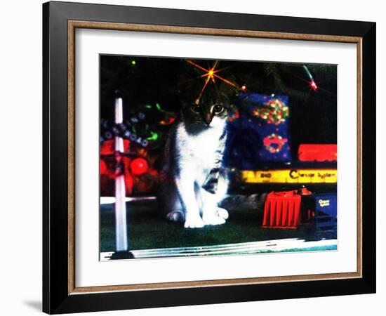 Chessie under the Christmas Tree-null-Framed Giclee Print