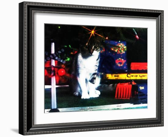 Chessie under the Christmas Tree-null-Framed Giclee Print