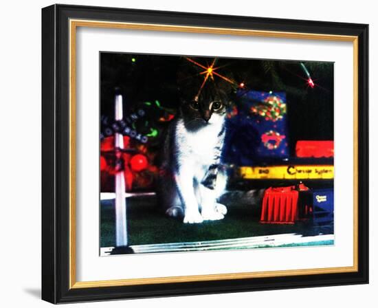 Chessie under the Christmas Tree-null-Framed Giclee Print