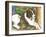 Chester-Jan Panico-Framed Giclee Print