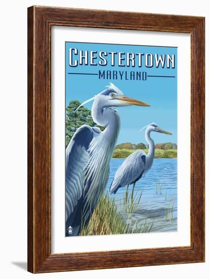 Chestertown, Maryland - Blue Herons in Marsh-Lantern Press-Framed Art Print