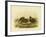 Chestnut-Backed Turnix, 1891-Gracius Broinowski-Framed Giclee Print