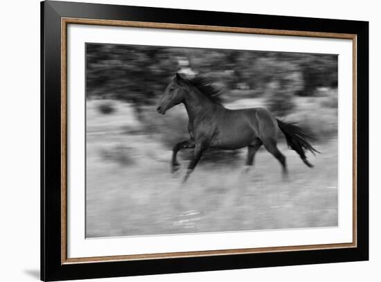 Chestnut Bolt-Staffan Widstrand-Framed Giclee Print