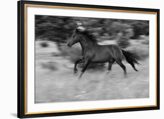 Chestnut Bolt-Staffan Widstrand-Framed Giclee Print