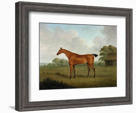 Chestnut Horse in a Landscape, 1815-John Nott Sartorius-Framed Giclee Print
