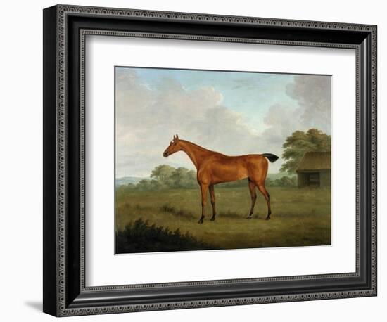 Chestnut Horse in a Landscape, 1815-John Nott Sartorius-Framed Giclee Print
