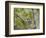 Chestnut-sided Warbler, Magee Marsh Wildlife Area, Oregon, Ohio-Maresa Pryor-Framed Photographic Print