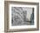 'Chestnut Street, Philadelphia', 19th century-Unknown-Framed Photographic Print