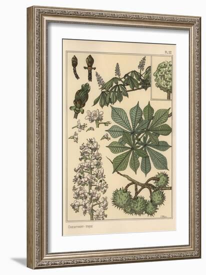 Chestnut Tree Botanical Study, 1897 (Lithograph)-Eugene Grasset-Framed Giclee Print