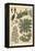 Chestnut Tree Botanical Study, 1897 (Lithograph)-Eugene Grasset-Framed Premier Image Canvas