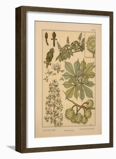 Chestnut Tree-null-Framed Giclee Print