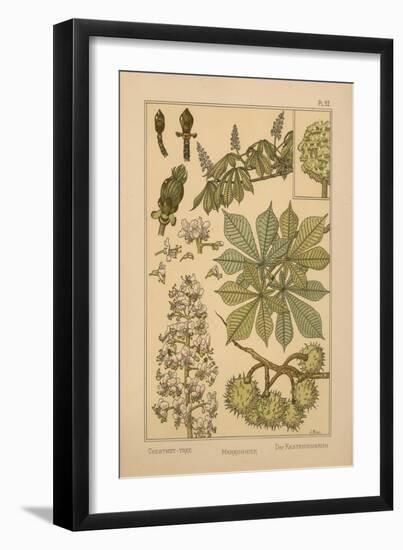 Chestnut Tree-null-Framed Giclee Print