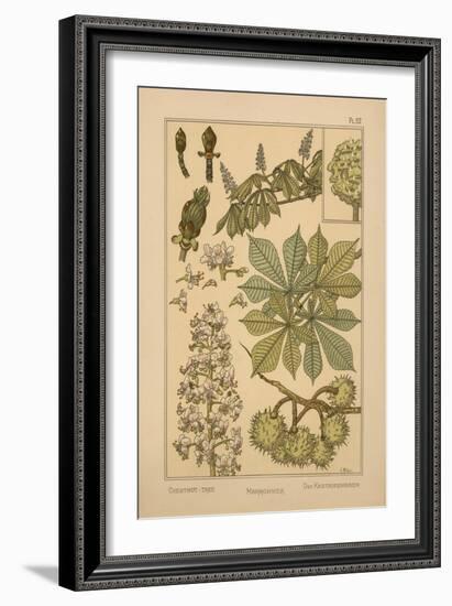 Chestnut Tree-null-Framed Giclee Print