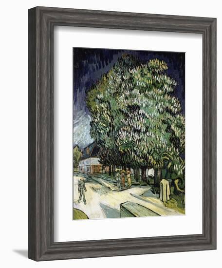 Chestnut Trees in Blossom, Auvers-Sur-Oise, 1890-Vincent van Gogh-Framed Giclee Print