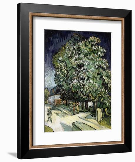 Chestnut Trees in Blossom, Auvers-Sur-Oise, 1890-Vincent van Gogh-Framed Giclee Print