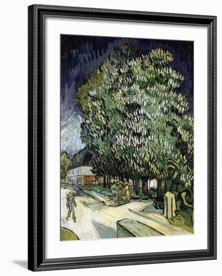 Chestnut Trees in Blossom, Auvers-Sur-Oise, 1890-Vincent van Gogh-Framed Giclee Print